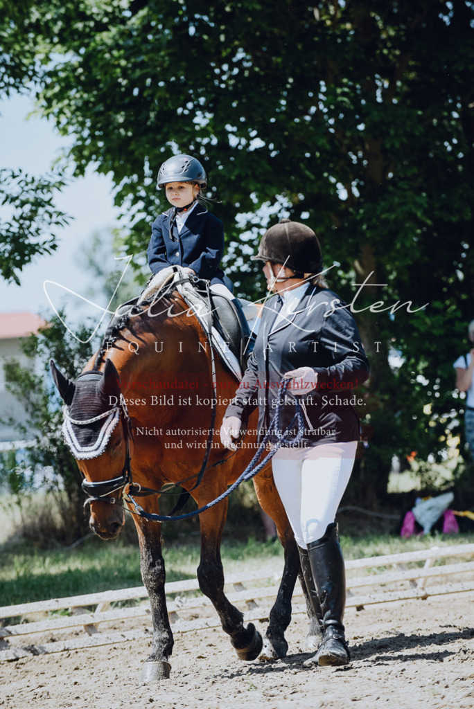 DSC_2499 | Pferde- und Turnierfotografie in Westsachsen. Pferdeportraits, Auftragszeichnungen und intuitive Kunst.