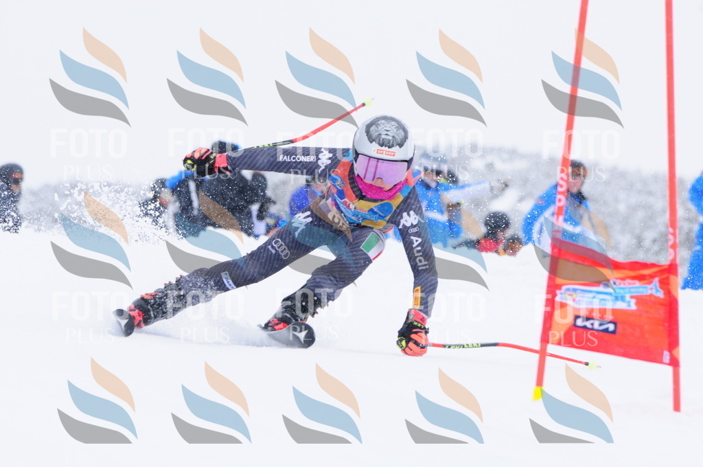 C4046 | holidayphoto