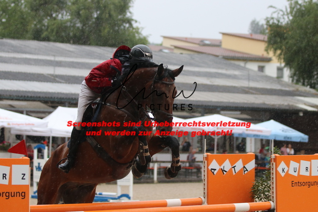 IMG_8247 | lmwpictures - Realisiert mit Pictrs.com