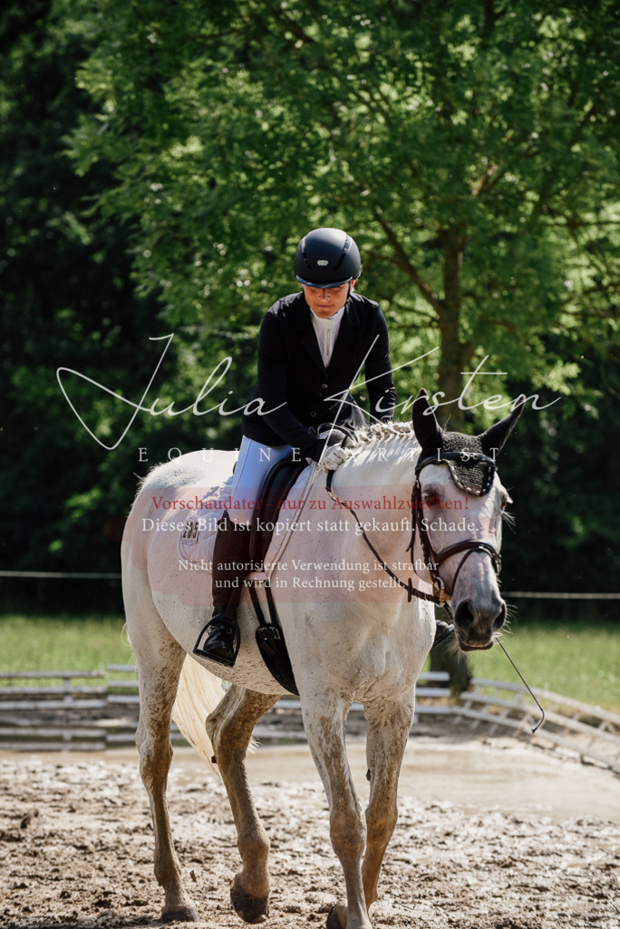 DSC_0417 | Pferde- und Turnierfotografie in Westsachsen. Pferdeportraits, Auftragszeichnungen und intuitive Kunst.