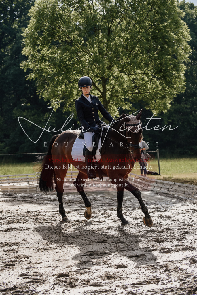 DSC_8597 | Pferde- und Turnierfotografie in Westsachsen. Pferdeportraits, Auftragszeichnungen und intuitive Kunst.