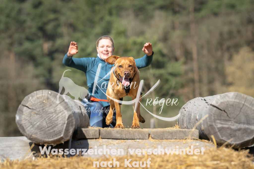1023_ZZ91133 | kk-dogfotos