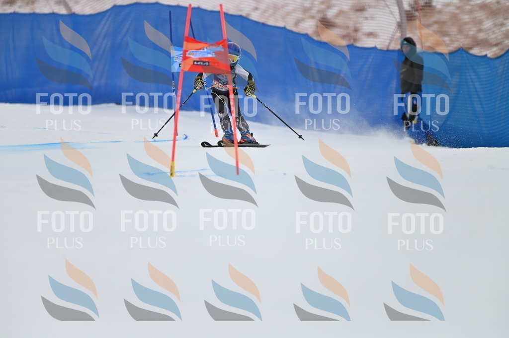 BGV_1866 | holidayphoto