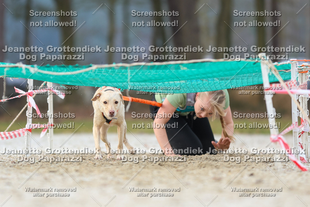 Dog Paparazzi - Strongdog North Mrz26-3766 | Dog Paparazzi Jeanette Grottendiek Fotografie & Videografie - Realisiert mit Pictrs.com