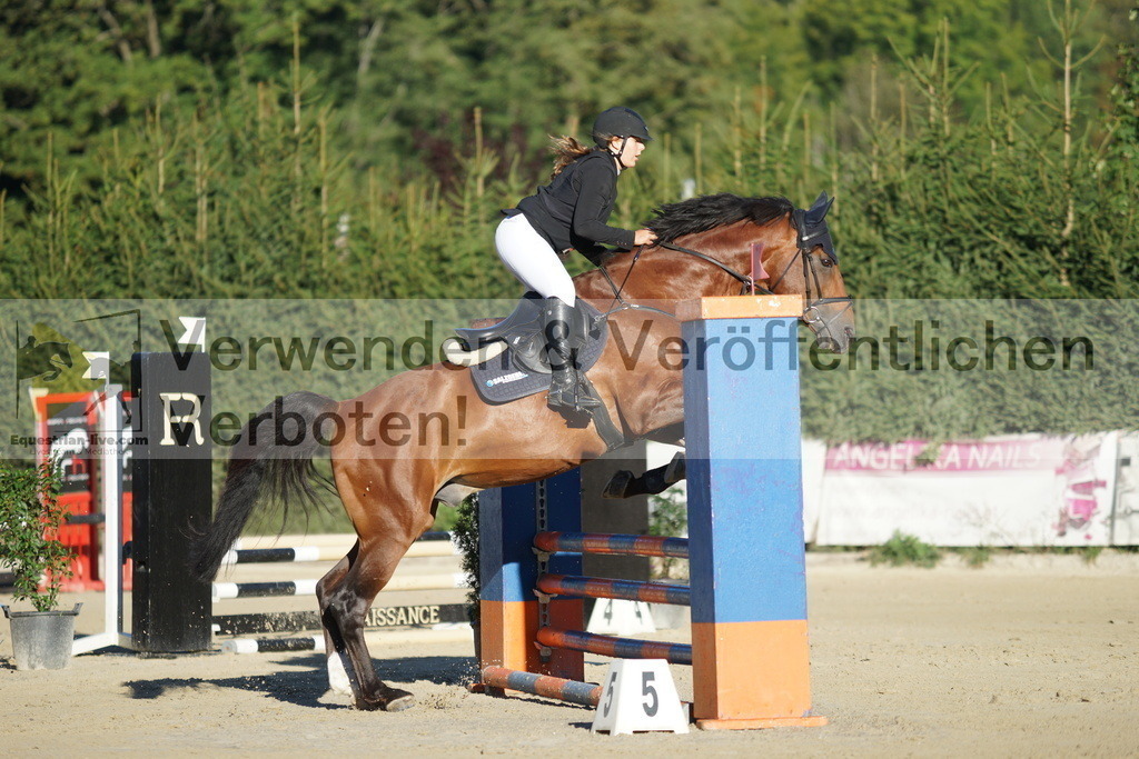 DSC08125 | equestrian-live-com
