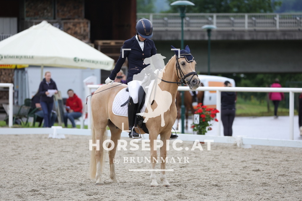 0P6A4246 | Willkommen bei Brunnmayr - Design & Fotografie – Ihrem Spezialisten für Reitturniere und Pferdeveranstaltungen in Oberösterreich, Salzburg und Bayern! Seit über 17 Jahren sind wir leidenschaftlich dabei.