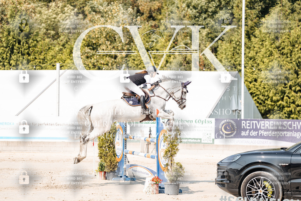 CK901606 | Turnierfotografie Pferdefotografie Trier Rheinland-Pfalz Pferdesport Reitsport Tierfotografie Sportfotografie Pferdevideo Pferdevideografie Equestrianvideography equestrianphotography  - Realisiert mit Pictrs.com