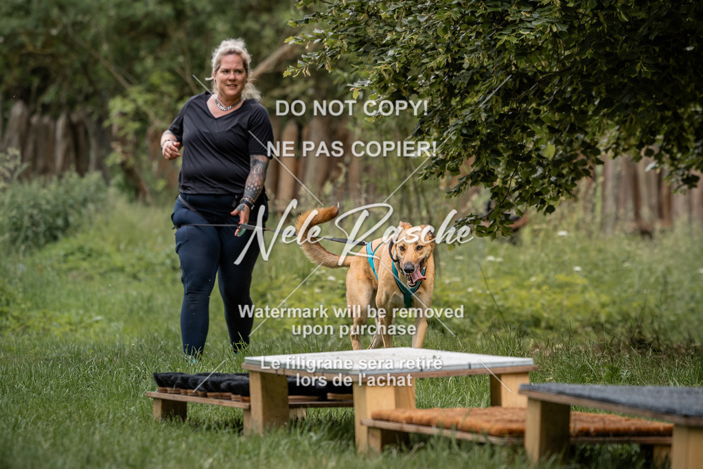 nelerasche_So-funtrail_154 | nelerasche