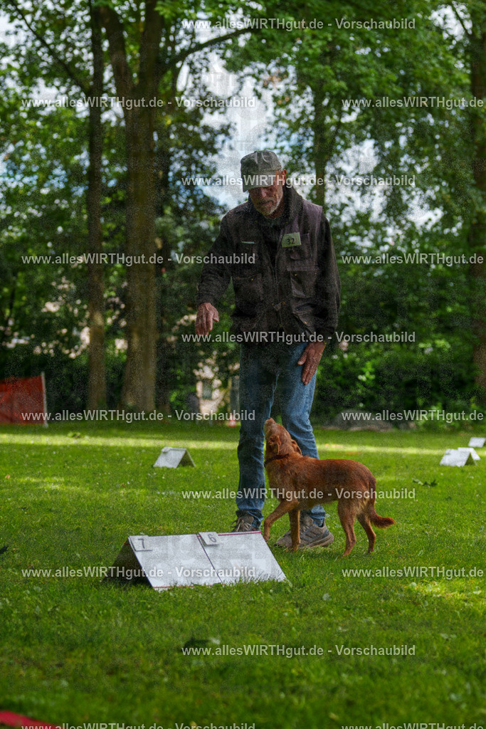 @allesWIRTHgut_Tierfotografie - www.allesWIRTHgut.de - 121551-7R508753 | Professionelle Tierfotografie in Mönchengladbach von Daniel Wirth (allesWIRTHgut). Liebevolle & natürliche Bilder von Hunden & Katzen für unvergessliche Erinnerungen.