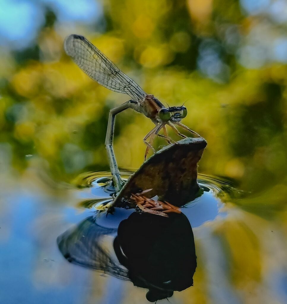 PSX_20220818_230936 | mtkfoto_ - Realisiert mit Pictrs.com