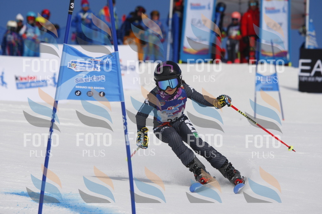 _W1G0446 | holidayphoto