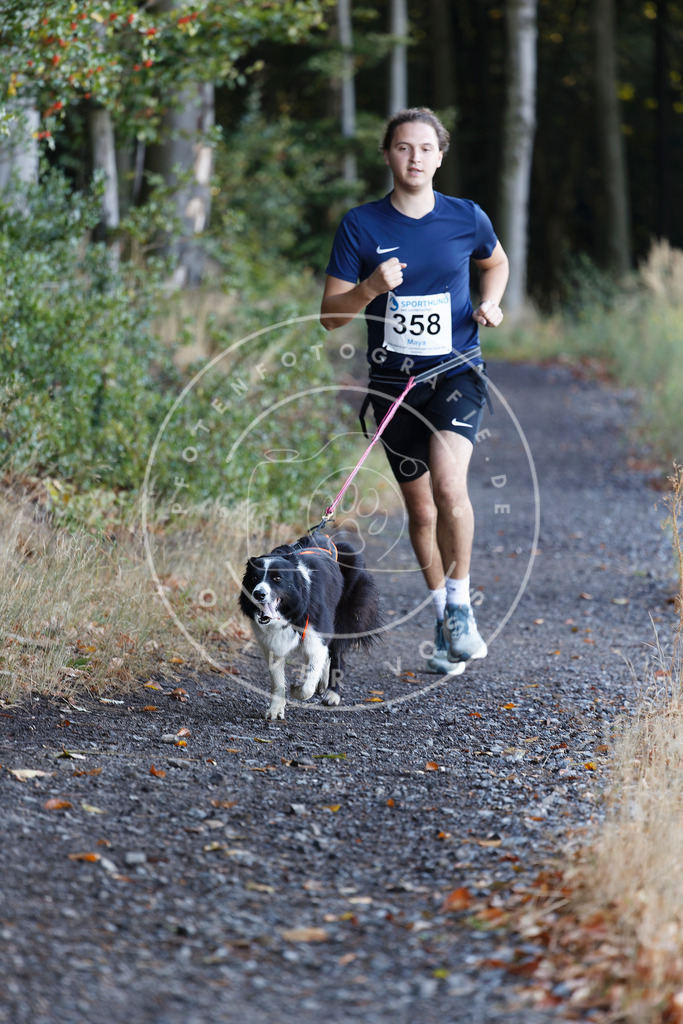 0L8A2104 | Hundefotografie, Tierfotograf, Pfotenfotografie, Fotoshooting Hund, Hunde Portrait, Hundesport, Hundeportraits, Heideshooting, Hunde, Sportfotograf, Hundefotograf, Turnierhundsport, THS,  - Realisiert mit Pictrs.com