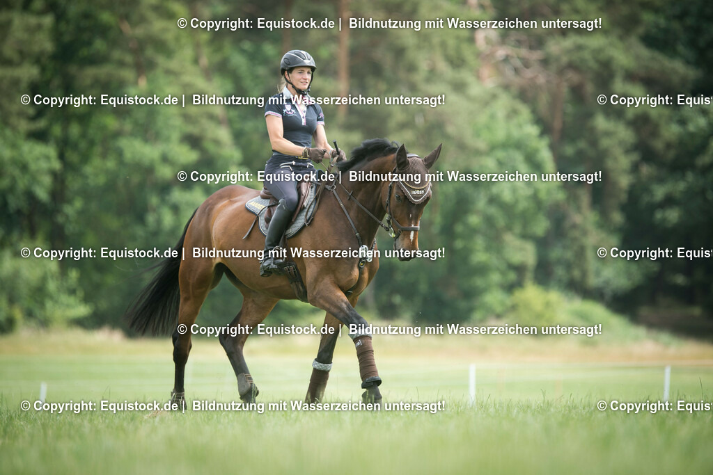 TS_20180615_Julia_Mestern_0011 | equistock