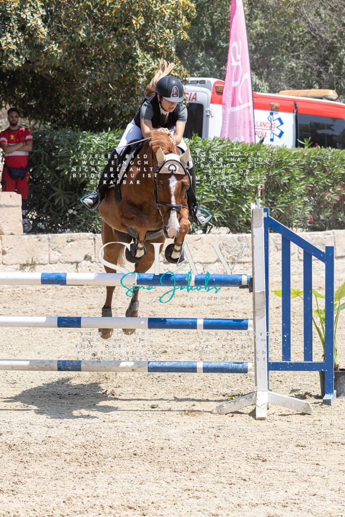 IMG_2704 | s-jay-photography - Realisiert mit Pictrs.com