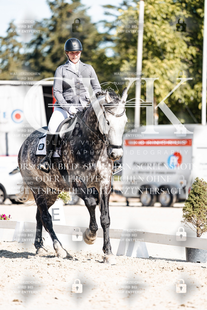 CK908348 | Turnierfotografie Pferdefotografie Trier Rheinland-Pfalz Pferdesport Reitsport Tierfotografie Sportfotografie Pferdevideo Pferdevideografie Equestrianvideography equestrianphotography  - Realisiert mit Pictrs.com