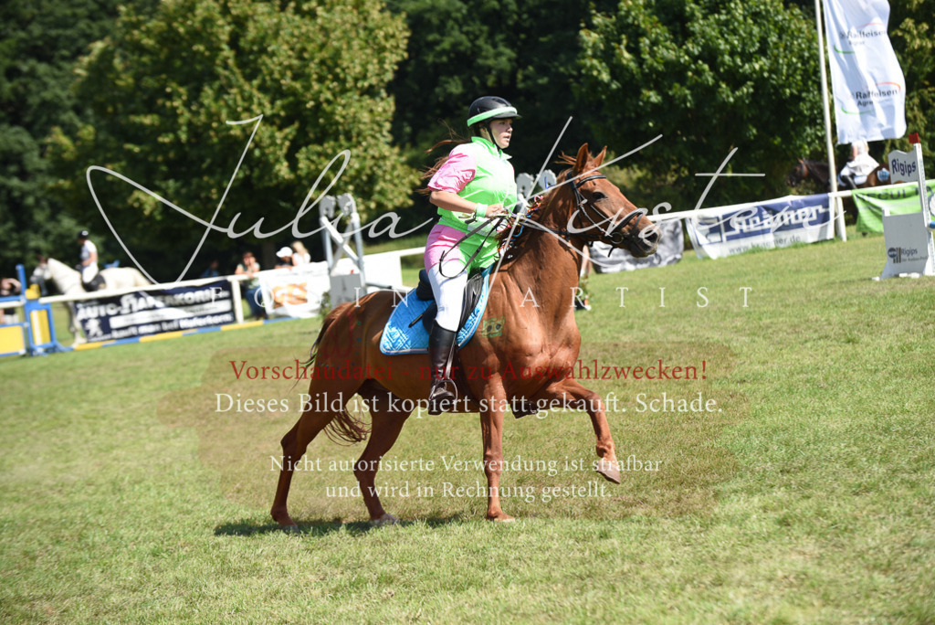 DSC_0424 | Pferde- und Turnierfotografie in Westsachsen. Pferdeportraits, Auftragszeichnungen und intuitive Kunst.