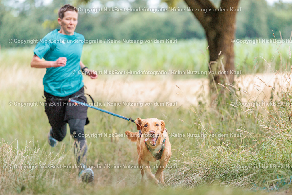 THS-Quakenbrück-2026-Nickbest-Hundefotografie-0972 | Dein Hund! Dein Moment! Deine Erinnerungen! Hundefotografie in Bremen Blumenthal. Ich fange die besonderen Momente deines Vierbeiners ein – ob Indoor mit Blitzanlage oder in der freien Natur. Sicher dir dein Moment und dein Termin für eure Erinnerungen.