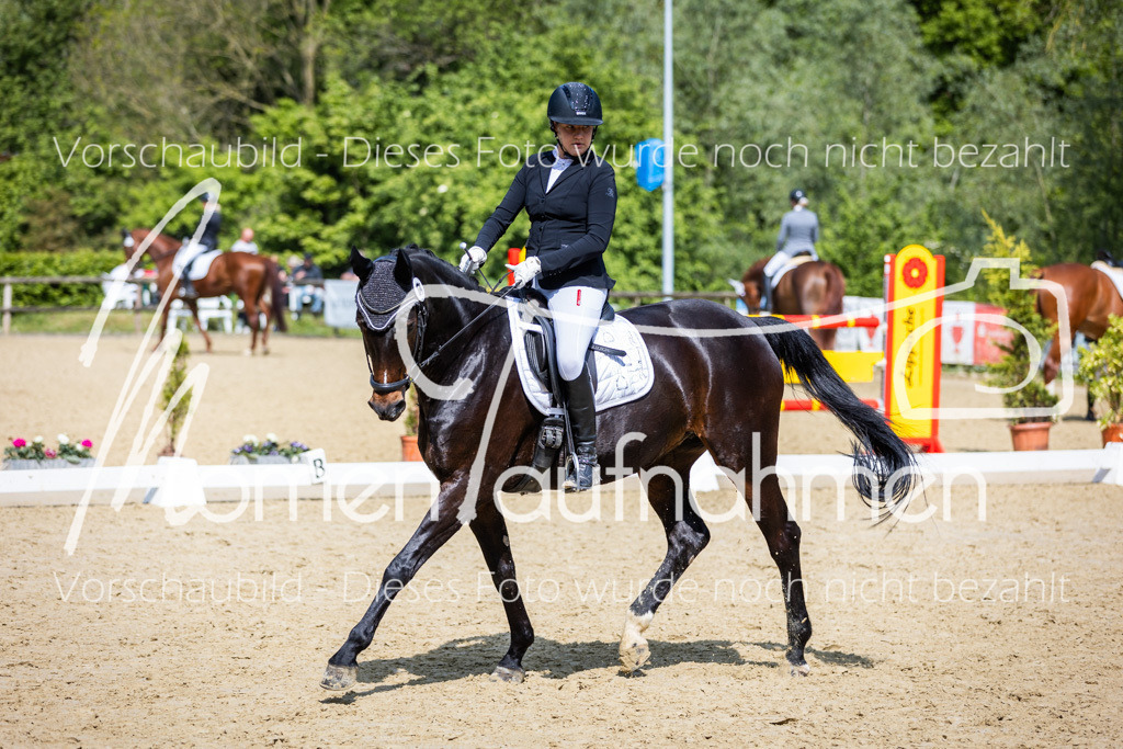 Donop24-L-Dre-029 | MomenTaufnahmen Pferdesportfotos