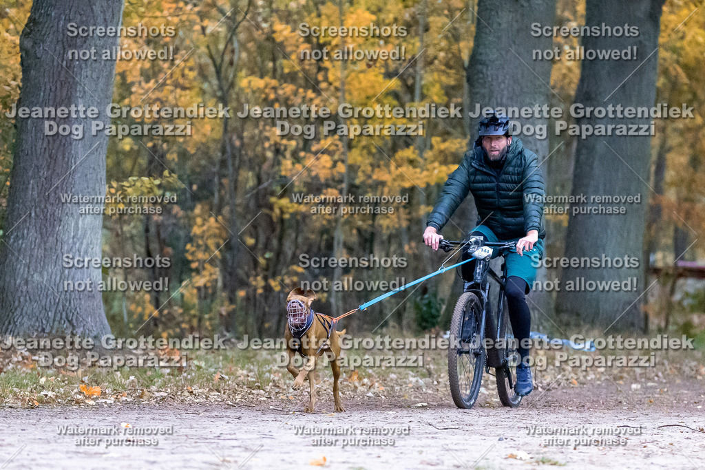 Dog Paparazzi - SD CaniX Championship 2025-48 | Dog Paparazzi Jeanette Grottendiek Fotografie & Videografie - Realisiert mit Pictrs.com