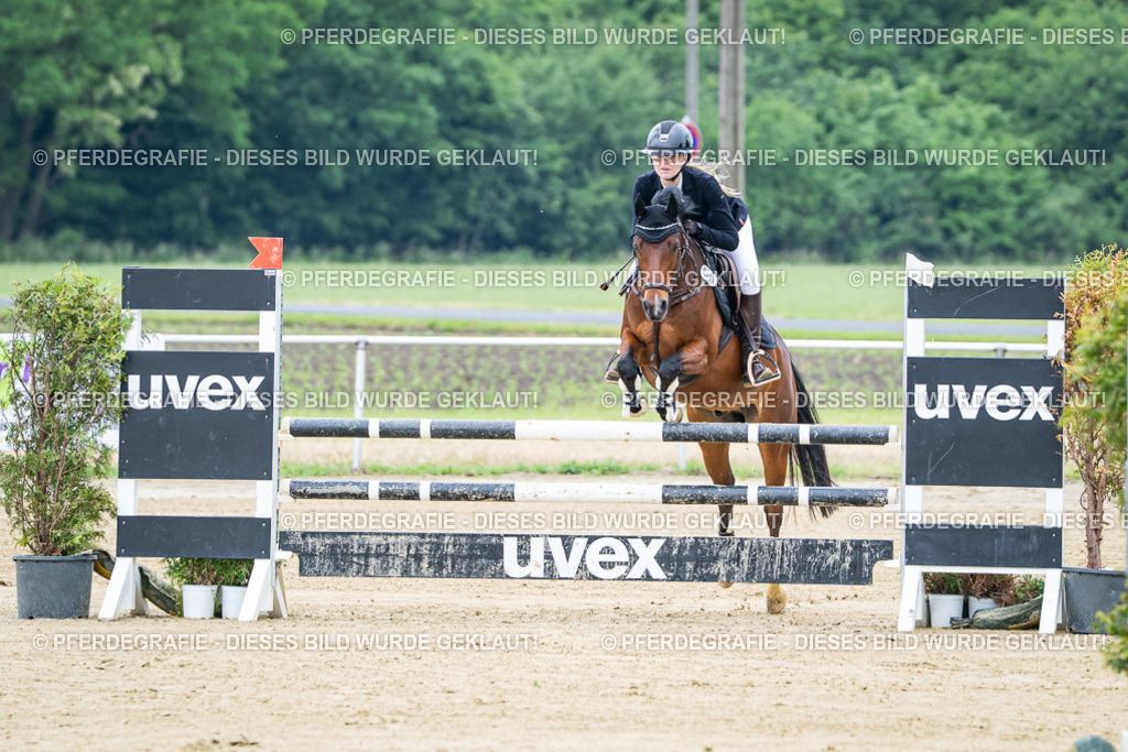 DSC03237 | Pferdegrafie