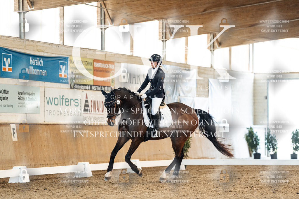 CK908434 | Turnierfotografie Pferdefotografie Trier Rheinland-Pfalz Pferdesport Reitsport Tierfotografie Sportfotografie Pferdevideo Pferdevideografie Equestrianvideography equestrianphotography  - Realized with Pictrs.com