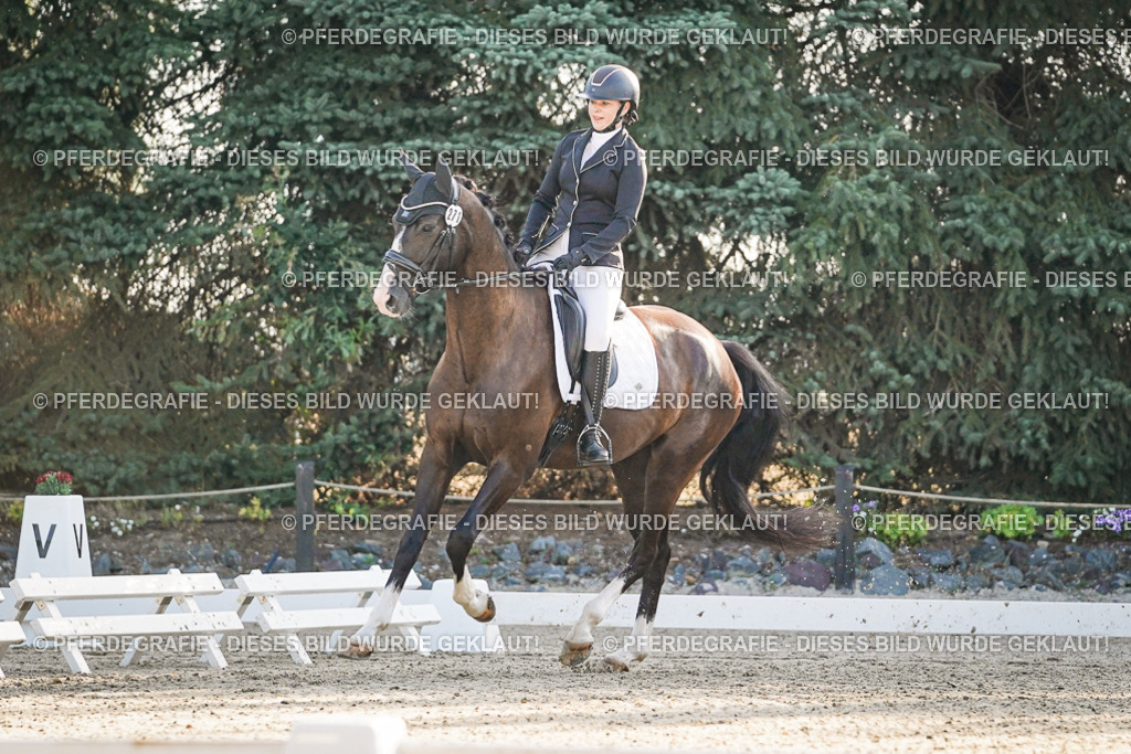 DSC07892 | Pferdegrafie