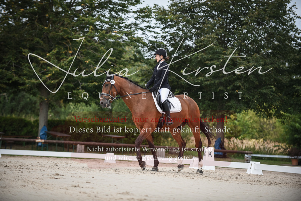 DSC_8072 | Pferde- und Turnierfotografie in Westsachsen. Pferdeportraits, Auftragszeichnungen und intuitive Kunst.