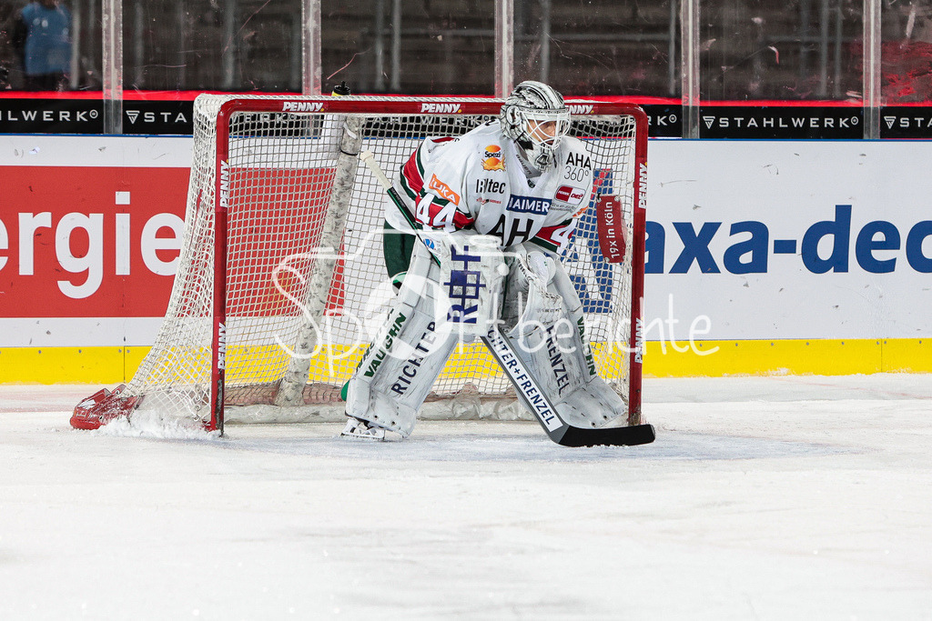 Kölner Haie - Augsburger Panther | Dennis ENDRAS (AEV #44) in Aktion