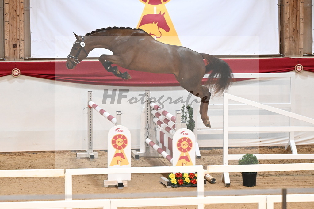 Kat.-Nr. 32 v. Tangelo van de Zuuthoeve_Schlamminger_3261791 | hf-fotografie - Realisiert mit Pictrs.com