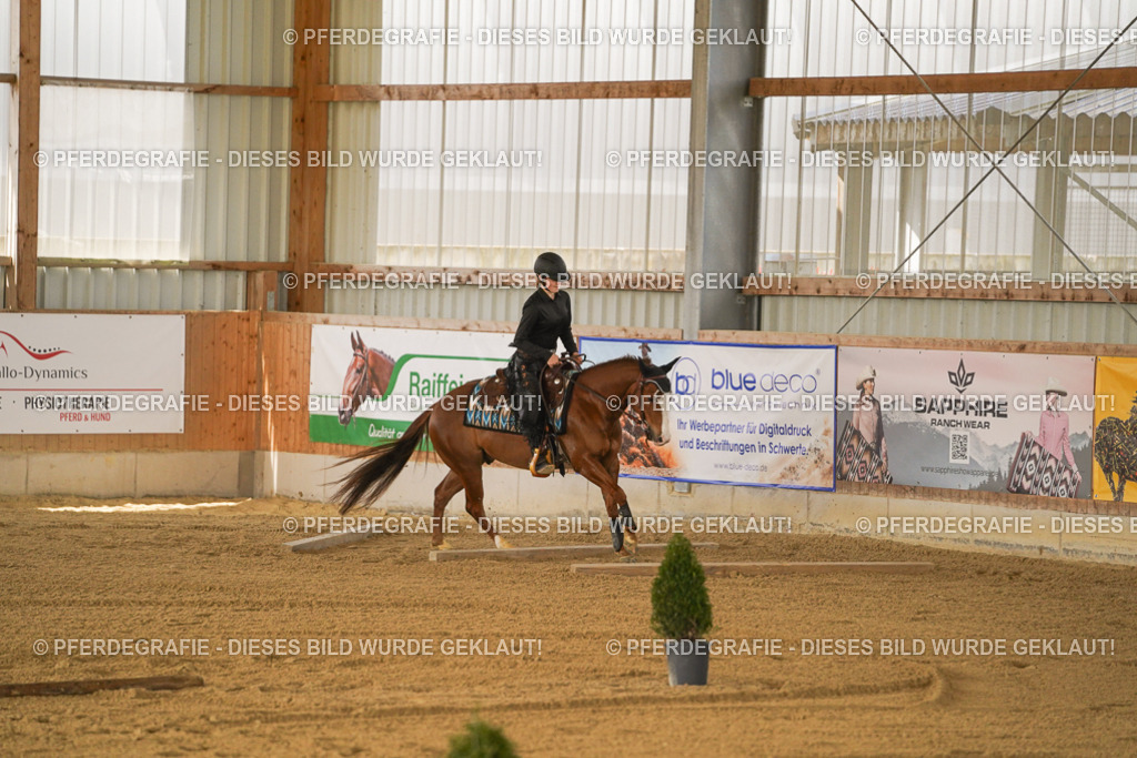 DSC05797 | Pferdegrafie