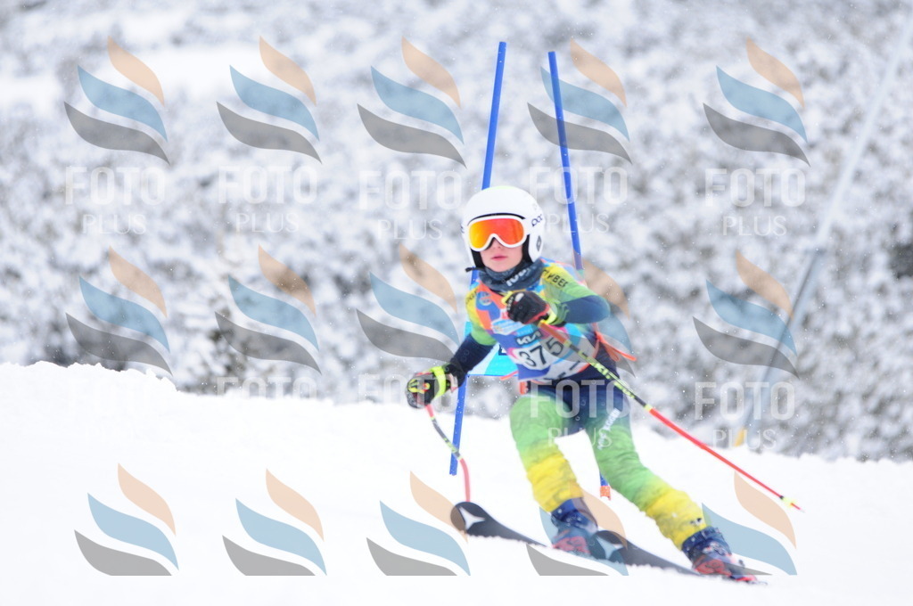 C3996 | holidayphoto