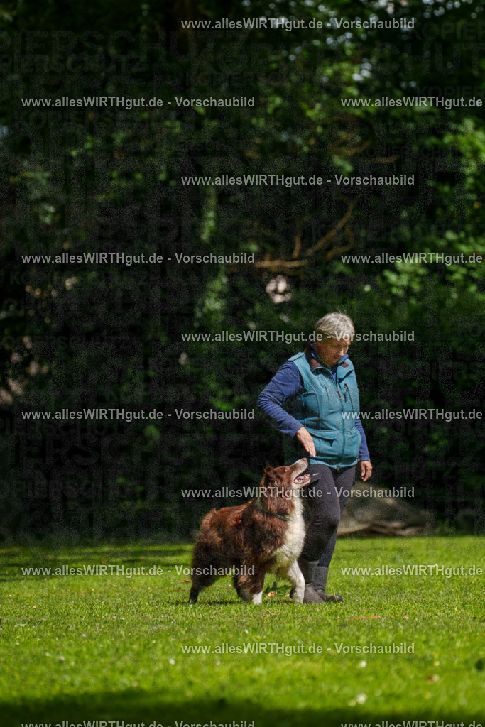 @allesWIRTHgut_Tierfotografie - www.allesWIRTHgut.de - 101018-7R508113 | Professionelle Tierfotografie in Mönchengladbach von Daniel Wirth (allesWIRTHgut). Liebevolle & natürliche Bilder von Hunden & Katzen für unvergessliche Erinnerungen.