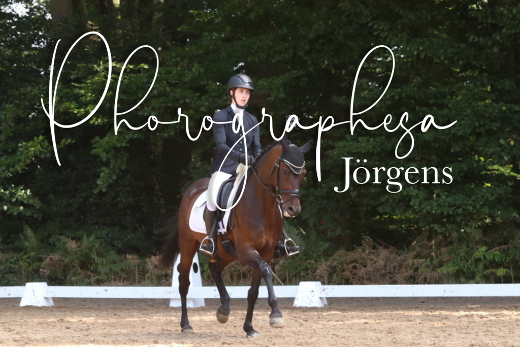 IMG_0524 | photographesa-joergens - Realisiert mit Pictrs.com