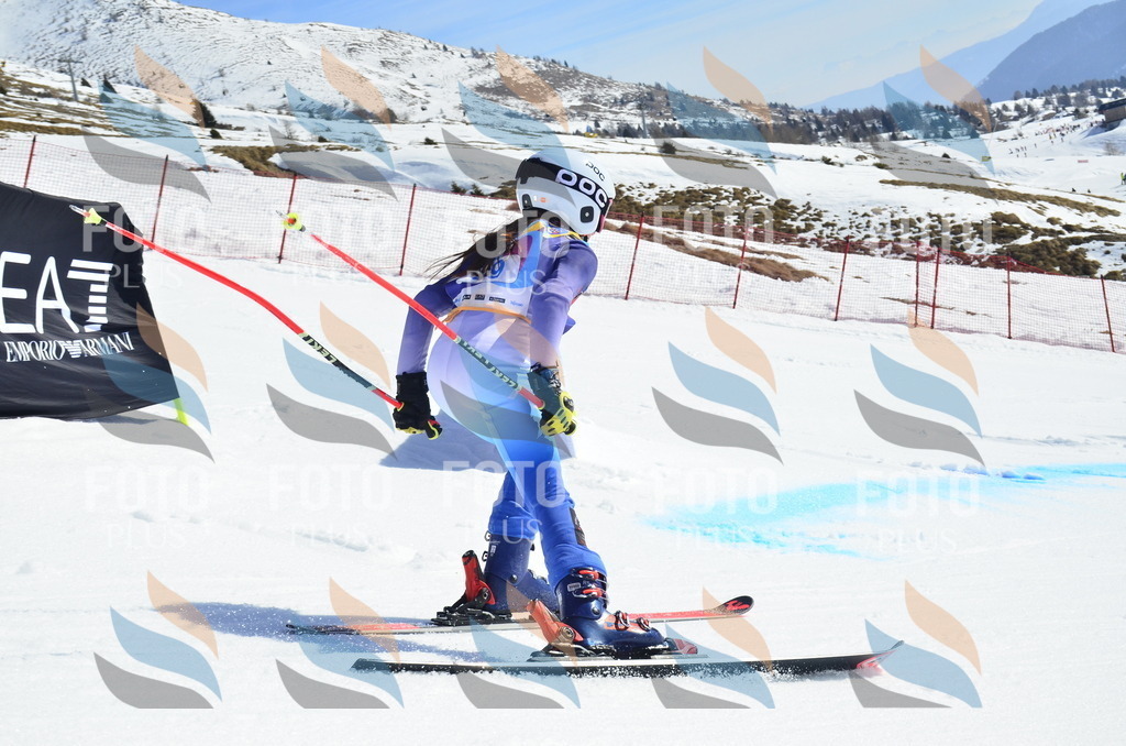 _ELE0482 | holidayphoto