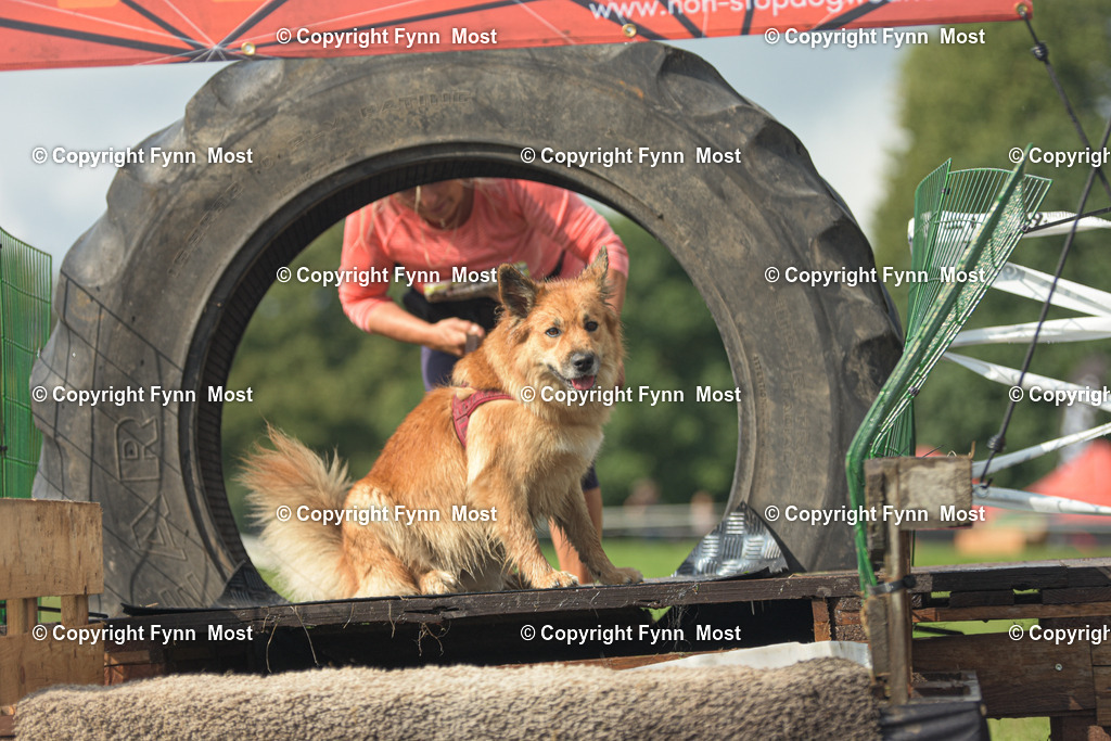 DSC_0934 | Hallo und herzlich Willkommen auf meiner Shop-Seite Fynn Most.

Ich wünsche Dir viel Spaß beim stöbern durch die Bilder, wenn Du Fragen hast oder Bilder vermisst, kannst du mir gerne eine Nachricht schreiben. - Realisiert mit Pictrs.com