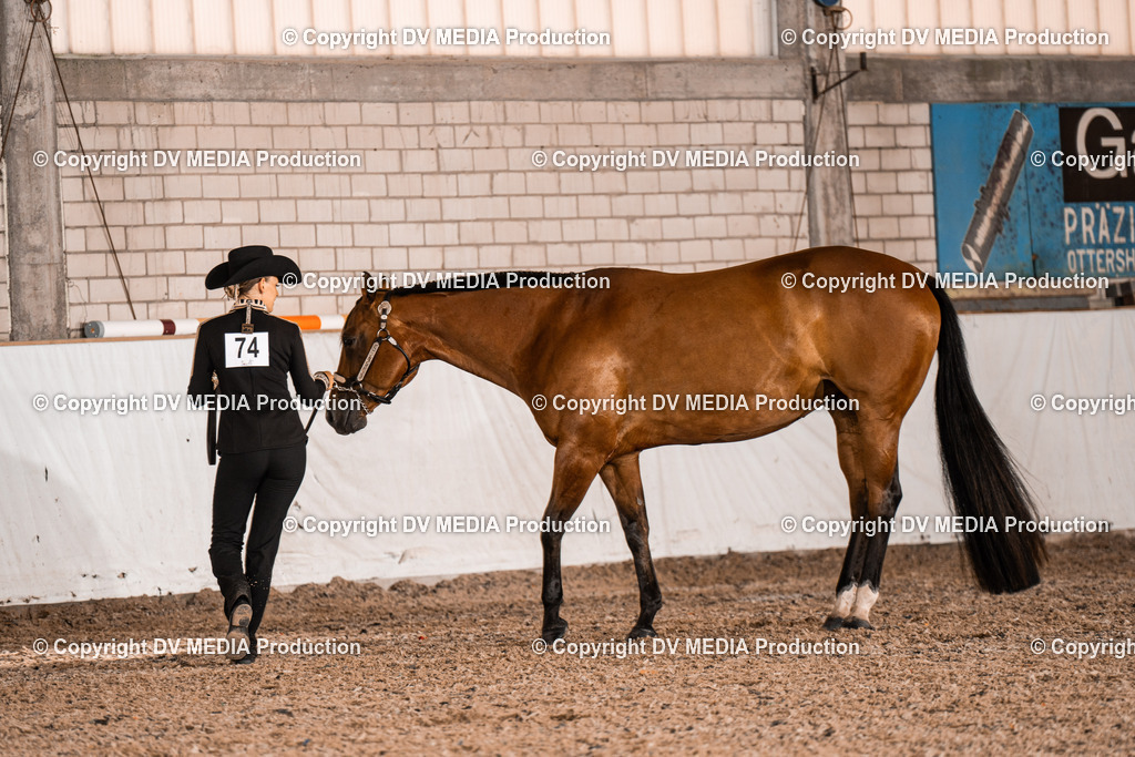 ZH200079 | dv-media-shop - Realisiert mit Pictrs.com