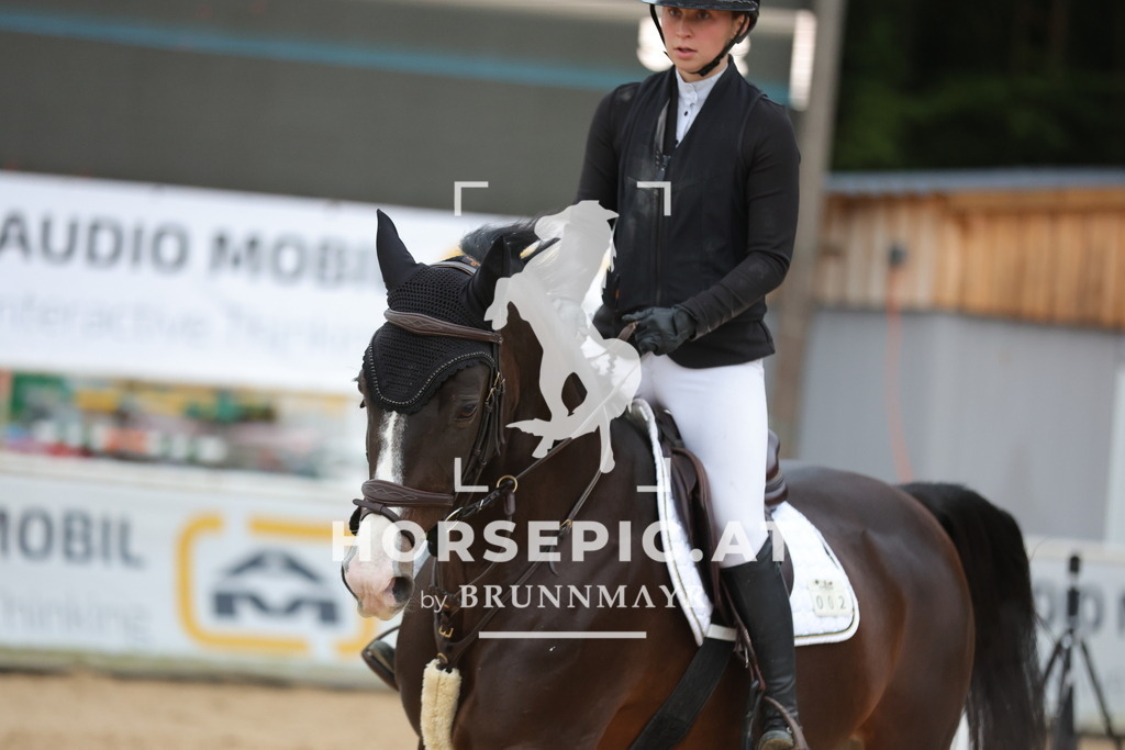 0P6A6593 | Willkommen bei Brunnmayr - Design & Fotografie – Ihrem Spezialisten für Reitturniere und Pferdeveranstaltungen in Oberösterreich, Salzburg und Bayern! Seit über 17 Jahren sind wir leidenschaftlich dabei.