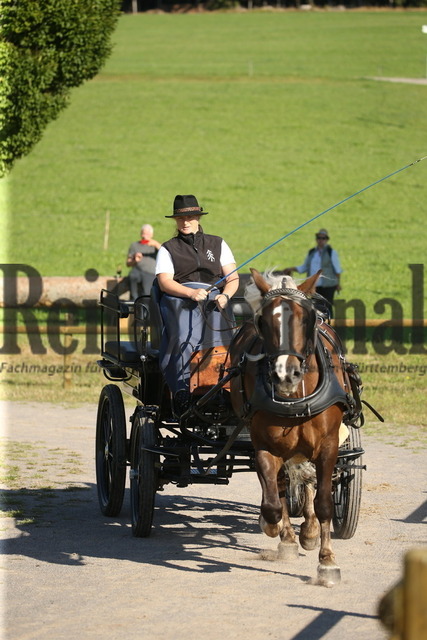 Leistungsprüfung_Sankt Märgen_2022_KN_06_Lissy (20) | Alle Fotos der Reiterjournal Fotografin Doris Matthaes im Reiterjournal Online-Fotoshop. - Realisiert mit Pictrs.com
