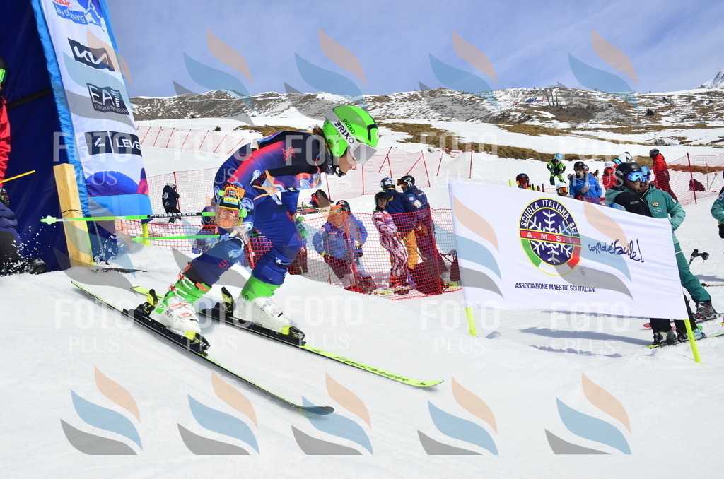 _ELE1421 | holidayphoto