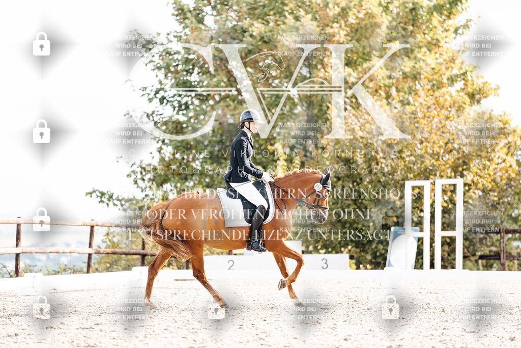 CK901068 | Turnierfotografie Pferdefotografie Trier Rheinland-Pfalz Pferdesport Reitsport Tierfotografie Sportfotografie Pferdevideo Pferdevideografie Equestrianvideography equestrianphotography  - Realisiert mit Pictrs.com