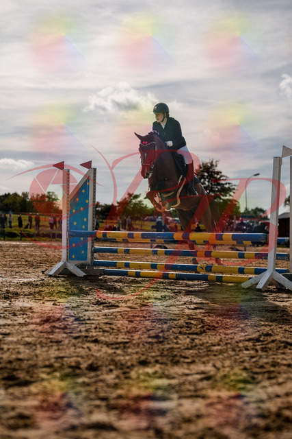 2026_10_03_Siefer-Hof_155322_Z63_10402406 | Professionelle Reitsport-, Turnier- und Eventfotografie von Robert Broda. Galerien mit ausgewählten und bearbeiteten Bildern direkt online ansehen und bestellen.