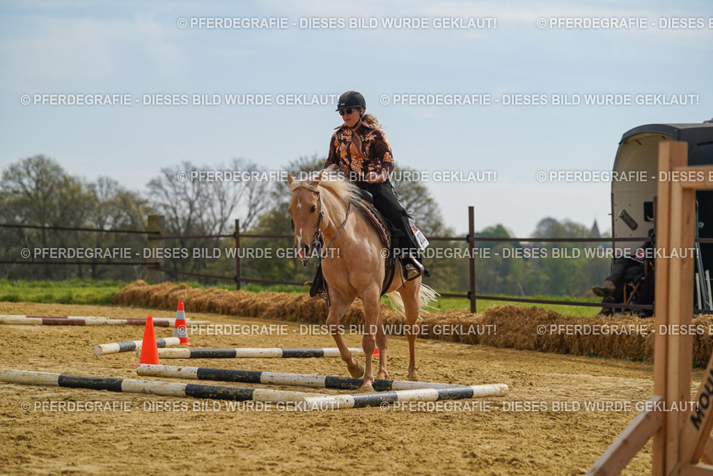 DSC02209 | Pferdegrafie