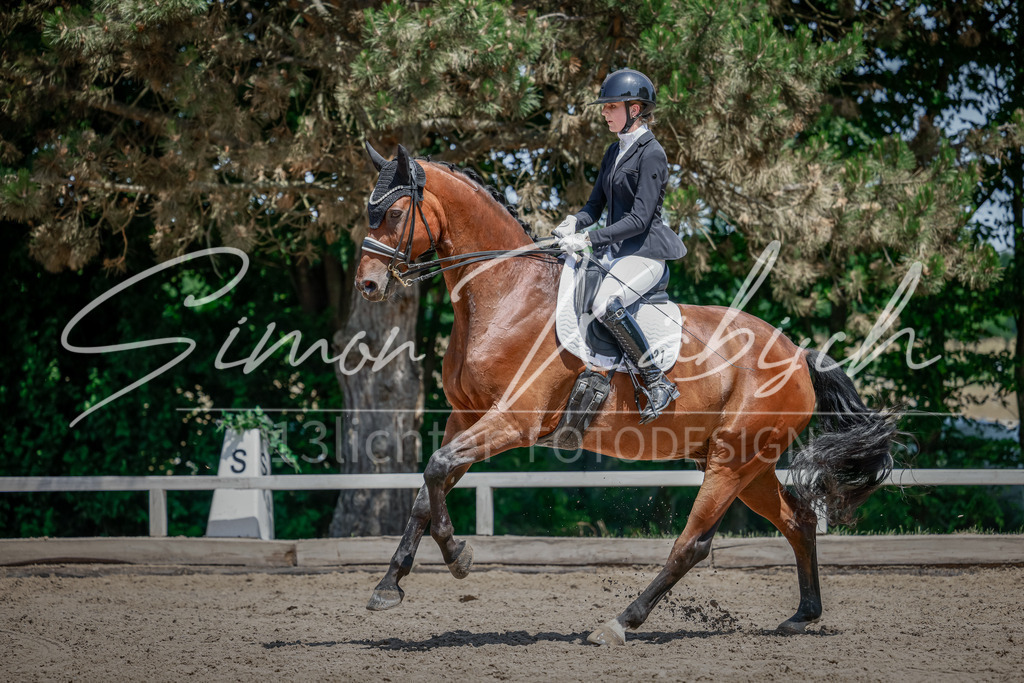 20250621-_3LI8065 | Tierfotografie Pferde, Hunde, Katzen, Haustiere.
Turnierfotografie Reitturniere, Reiten, Springreiten, Dressur in Hanau, dem Main-Kinzig-Kreis und dem Rhein-Main- Gebiet um Frankfurt