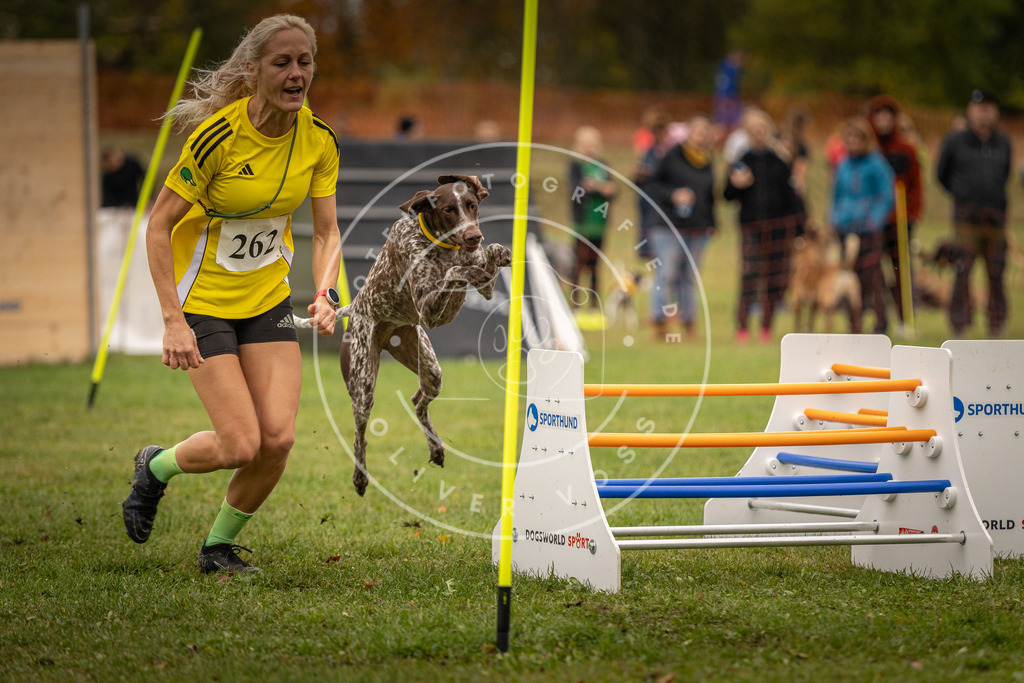 Pfotenfotografie_DV3A6850 | Hundefotografie, Tierfotograf, Pfotenfotografie, Fotoshooting Hund, Hunde Portrait, Hundesport, Hundeportraits, Heideshooting, Hunde, Sportfotograf, Hundefotograf, Turnierhundsport, THS,  - Realisiert mit Pictrs.com