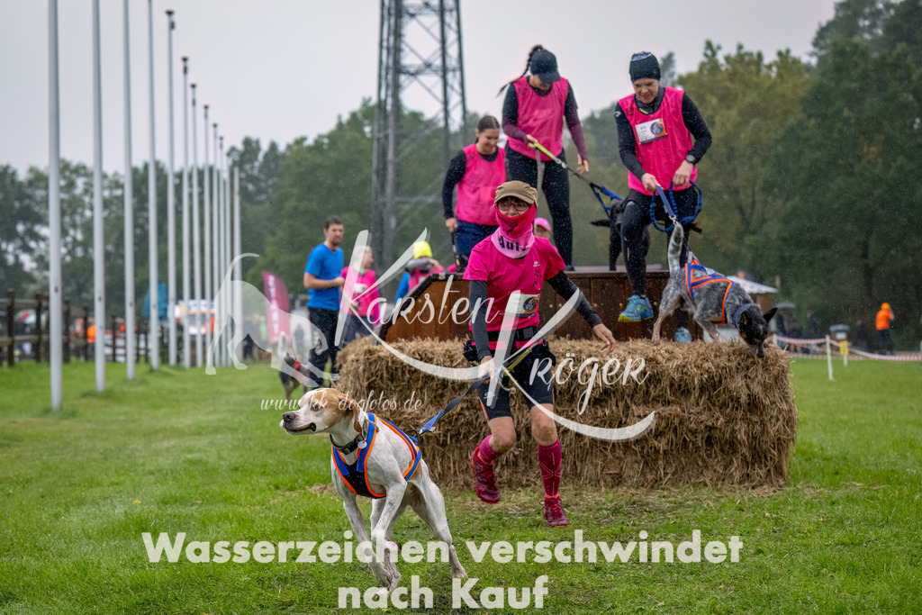 1005--13 | kk-dogfotos