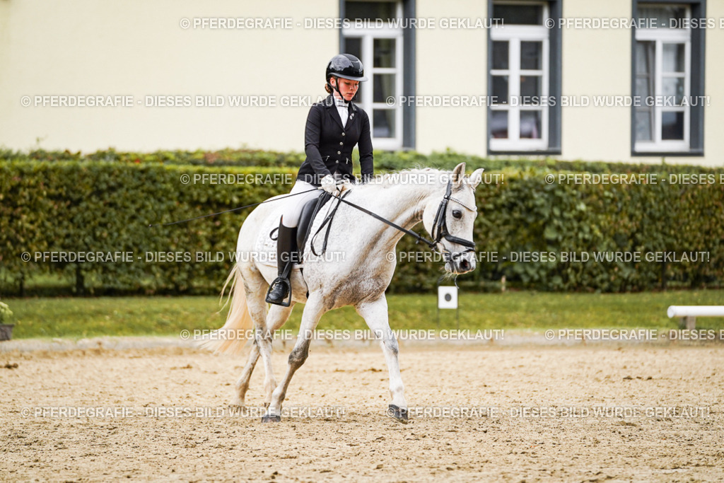 DSC07812 | Pferdegrafie