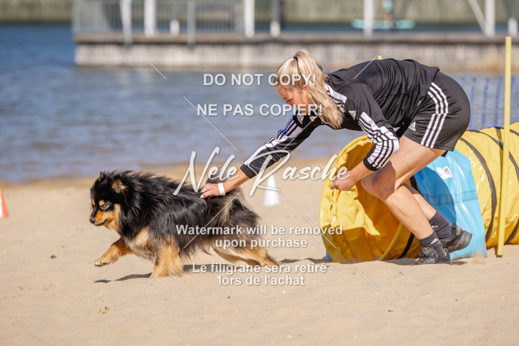 NR__0649 | nelerasche