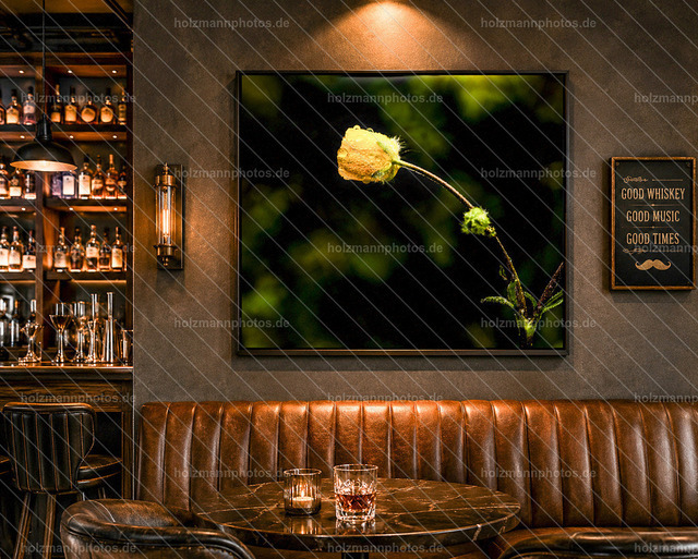 20260519-Blume_Bar | Authentische Fotografie für Menschen, Marken und Räume. Portraits, Editorial, Fine Art und atmosphärische Bildwelten im Werra-Meißner-Kreis, Kassel und Eisenach. Emotion im Fokus.