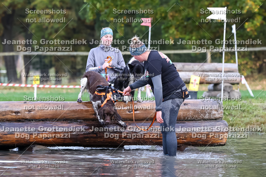 Dog Paparazzi - Strongdog 10-25-6702 | Dog Paparazzi Jeanette Grottendiek Fotografie & Videografie - Realisiert mit Pictrs.com