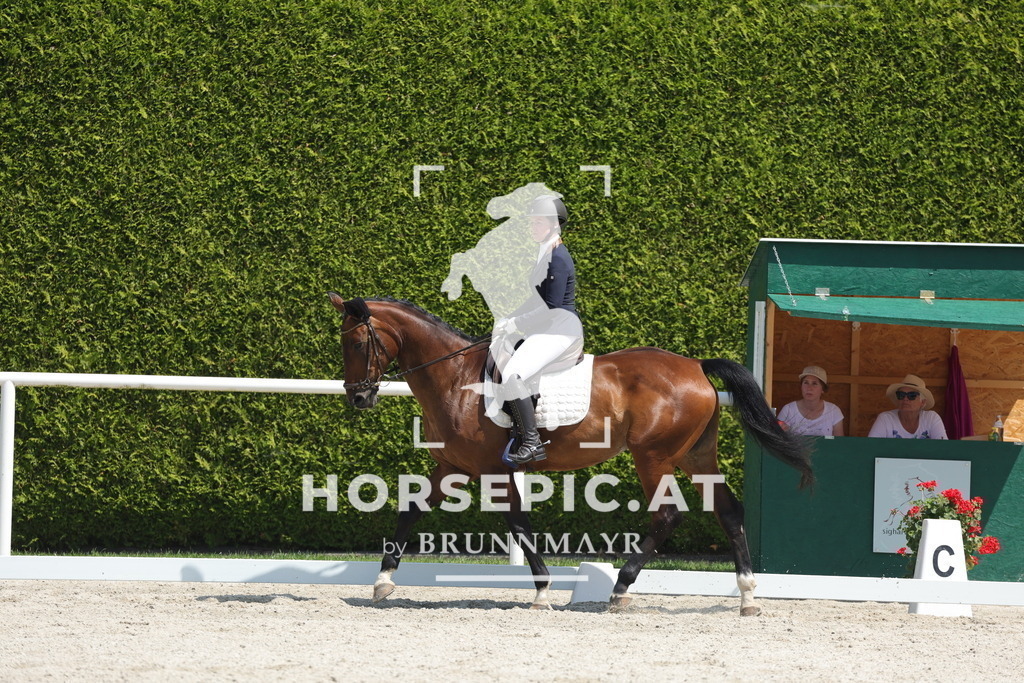 0P6A2529 | Willkommen bei Brunnmayr - Design & Fotografie – Ihrem Spezialisten für Reitturniere und Pferdeveranstaltungen in Oberösterreich, Salzburg und Bayern! Seit über 17 Jahren sind wir leidenschaftlich dabei.